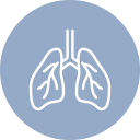 Icon of white lungs on a light blue circular background. The lungs are outlined with visible bronchial tubes.
