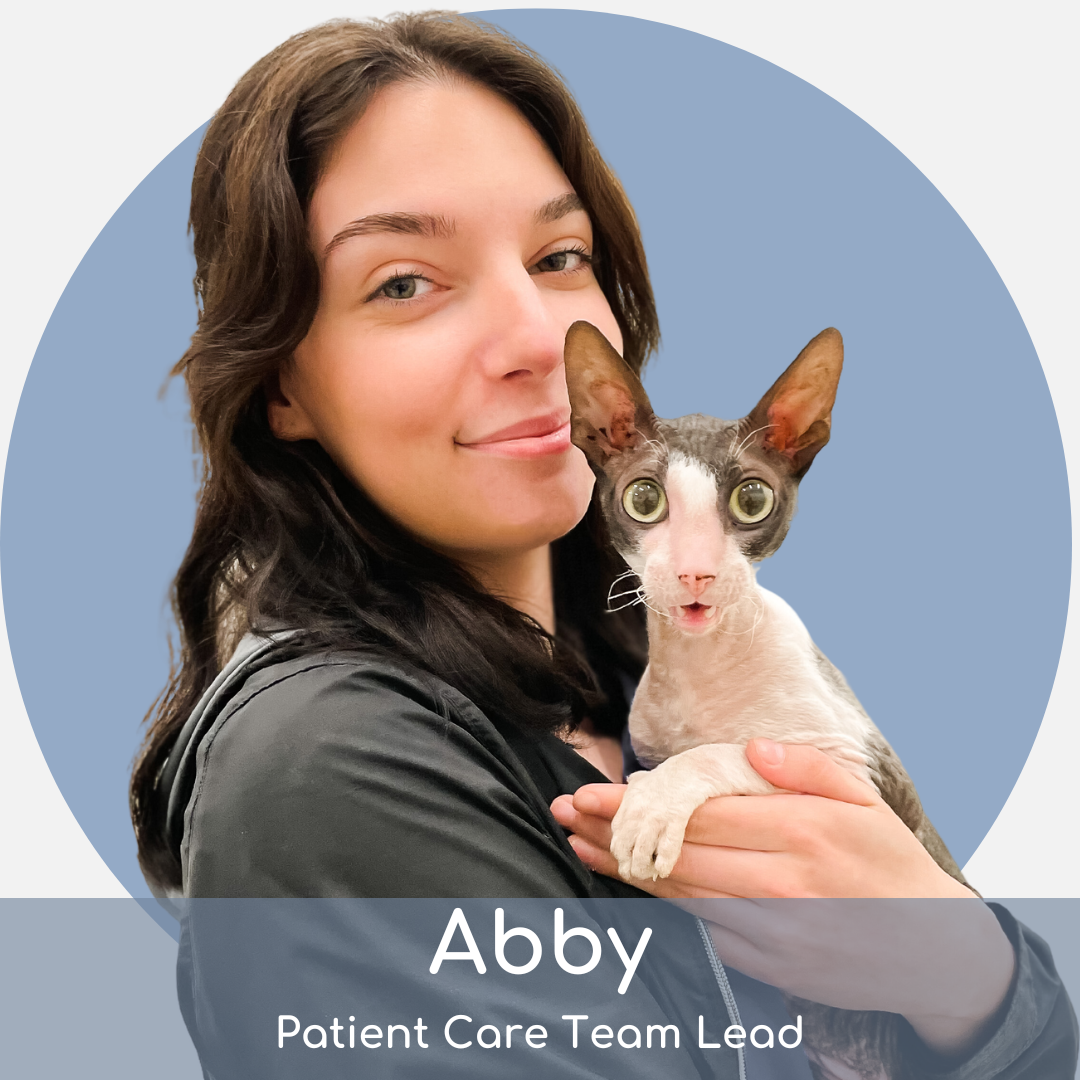 ah (1) A woman with long brown hair smiles while holding a curly-coated cat with big green eyes. The text reads: "Abby, Patient Care Team Lead." A blue circle is in the background.