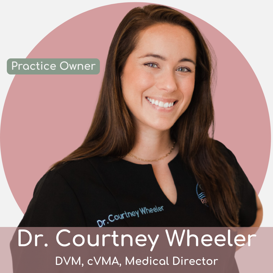 cw (1) A smiling woman in black scrubs stands in front of a pink circle. Text reads: "Practice Owner," "Dr. Courtney Wheeler, DVM, cVMA, Medical Director." She has long brown hair and blue eyes.