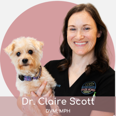 cs A smiling woman in a black veterinary uniform holds a small, light-colored dog. Text at the bottom reads "Dr. Claire Scott, DVM, MPH." A pink circle is in the background.
